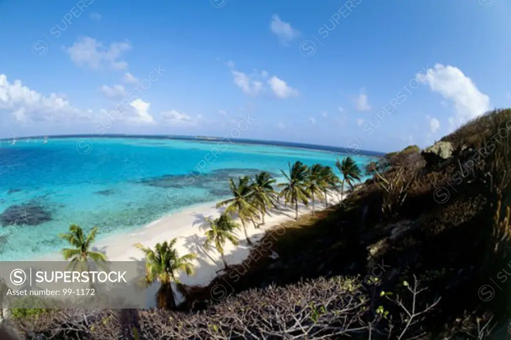 Jamesby IslandThe Grenadines