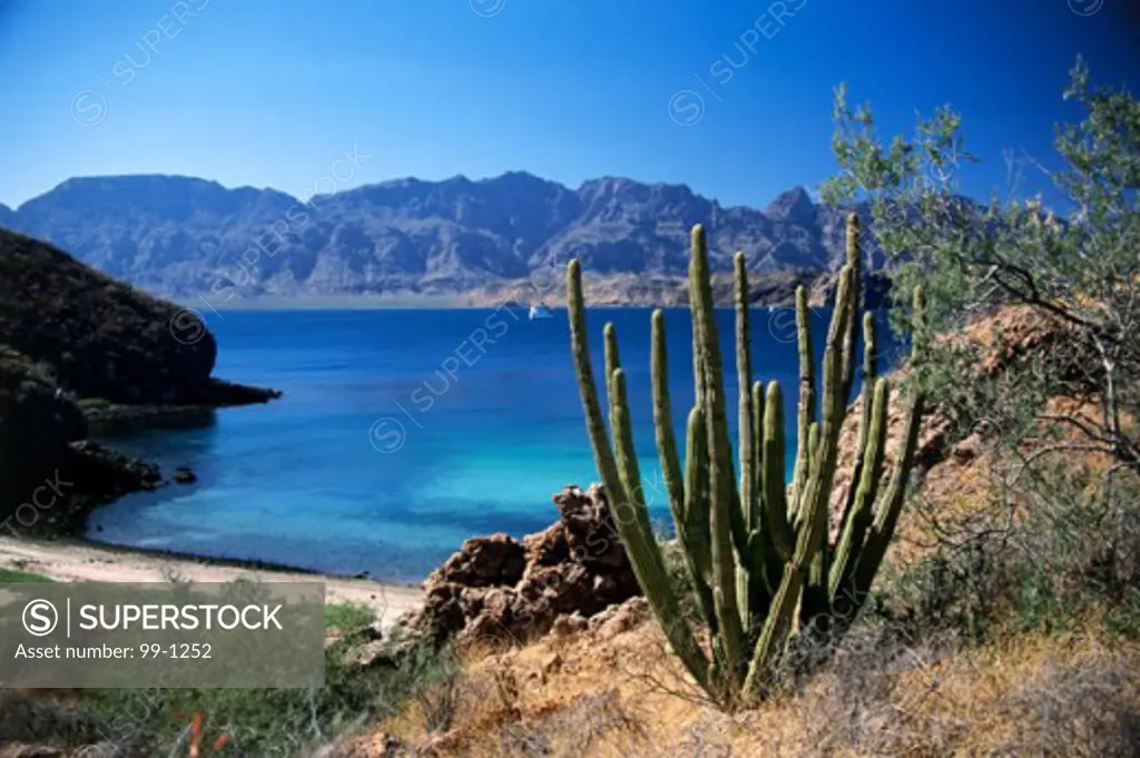 Baja California SurMexico