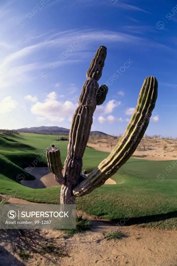 Palmilla Golf ClubBaja California SurMexico