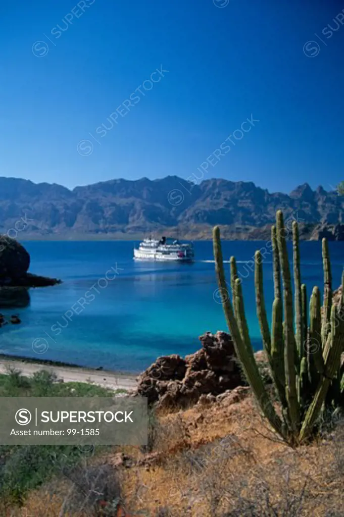 Baja CaliforniaMexico