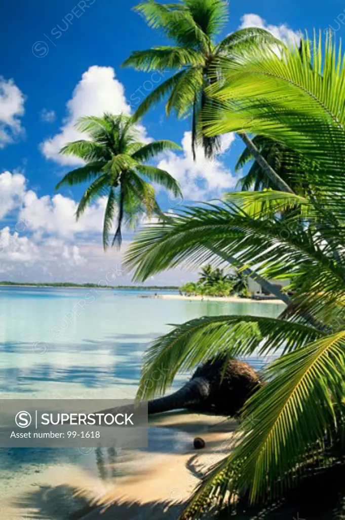 Takapoto IslandFrench Polynesia