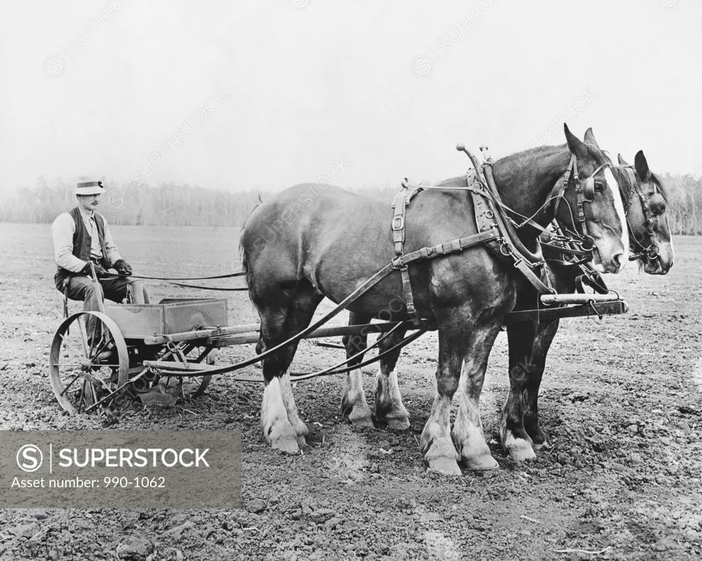 Farmer plowing a field with a horse cart
