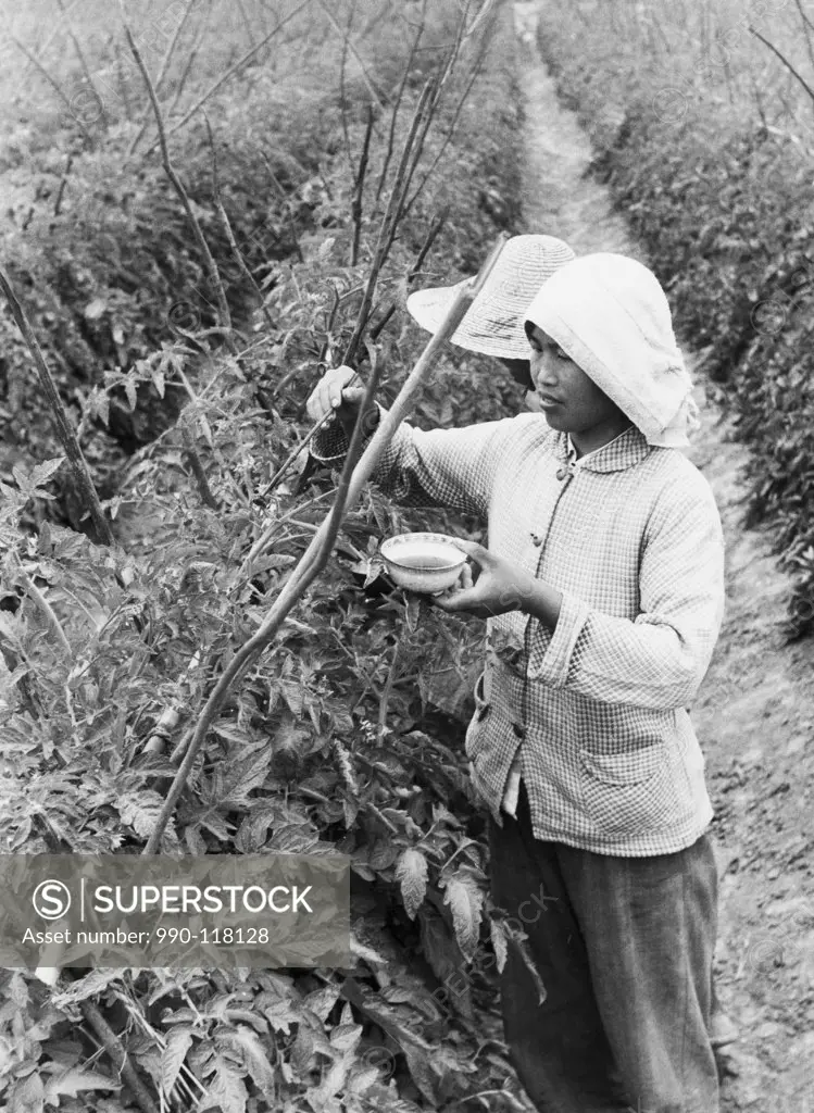 Young woman pouring insecticide on plants, China