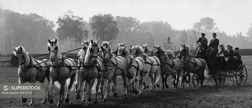 Group of people riding on a horse cart