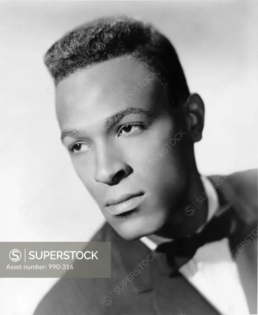 Marvin Gaye Singer (1939-1984)
