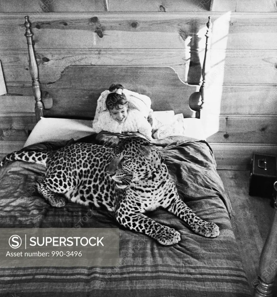 High angle view of a girl sitting on the bed with a leopard (Panthera pardus)