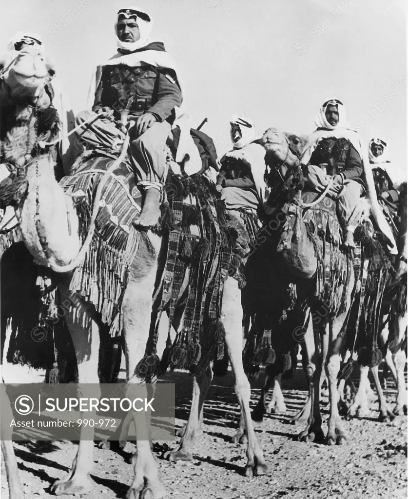 Group of people participating in a camel race, Saudi Arabia