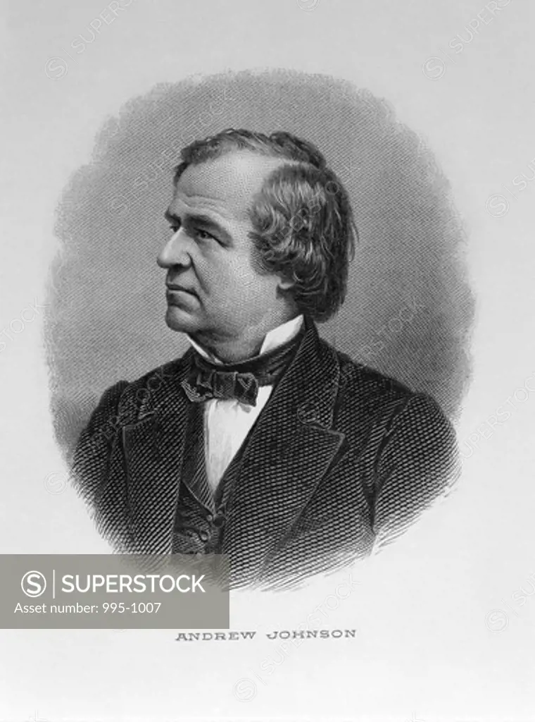 Andrew Johnson American History 