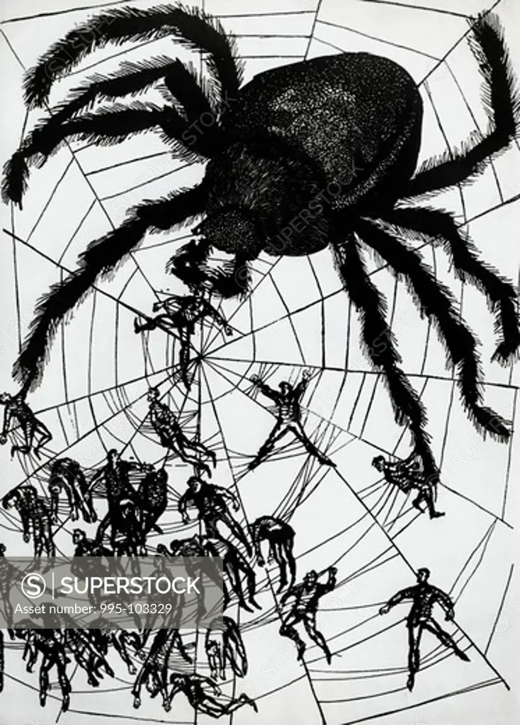 A Cross-spider, Horst Bartsch, (b.1821 German)