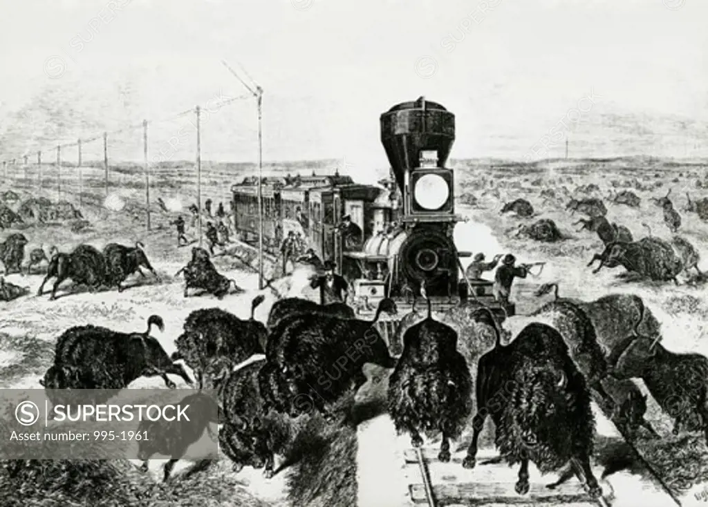 Buffalo Hunting from a Train Artist Unknown 