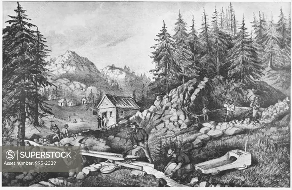 Gold Mining in California Currier & Ives (American) 