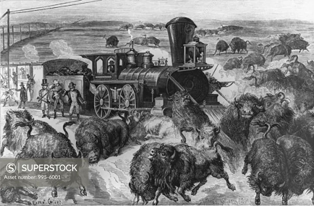 Hunting Buffalo from a Railroad Train Artist Unknown 