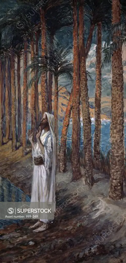The Palm Tree James Tissot (1836-1902 French) Jewish Museum, New York City