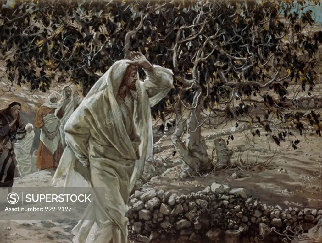 The Accursed Fig Tree James Tissot (1836-1902 French)